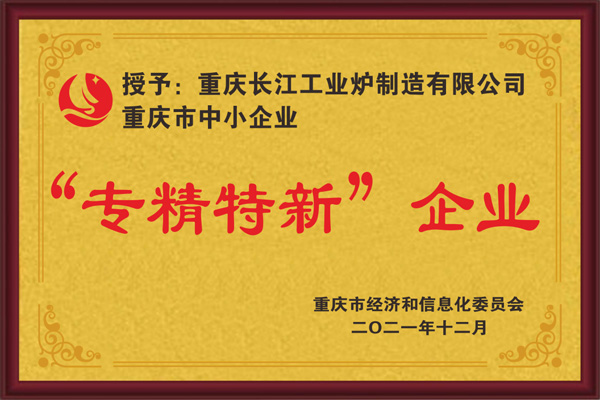 Specialized, refined, and innovative enterprises
