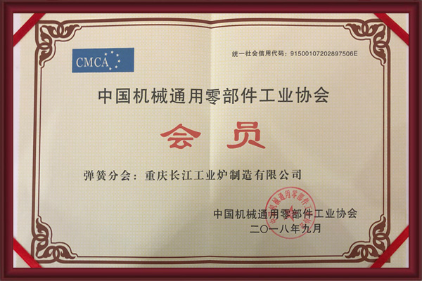 Member of China General Parts Industry Association